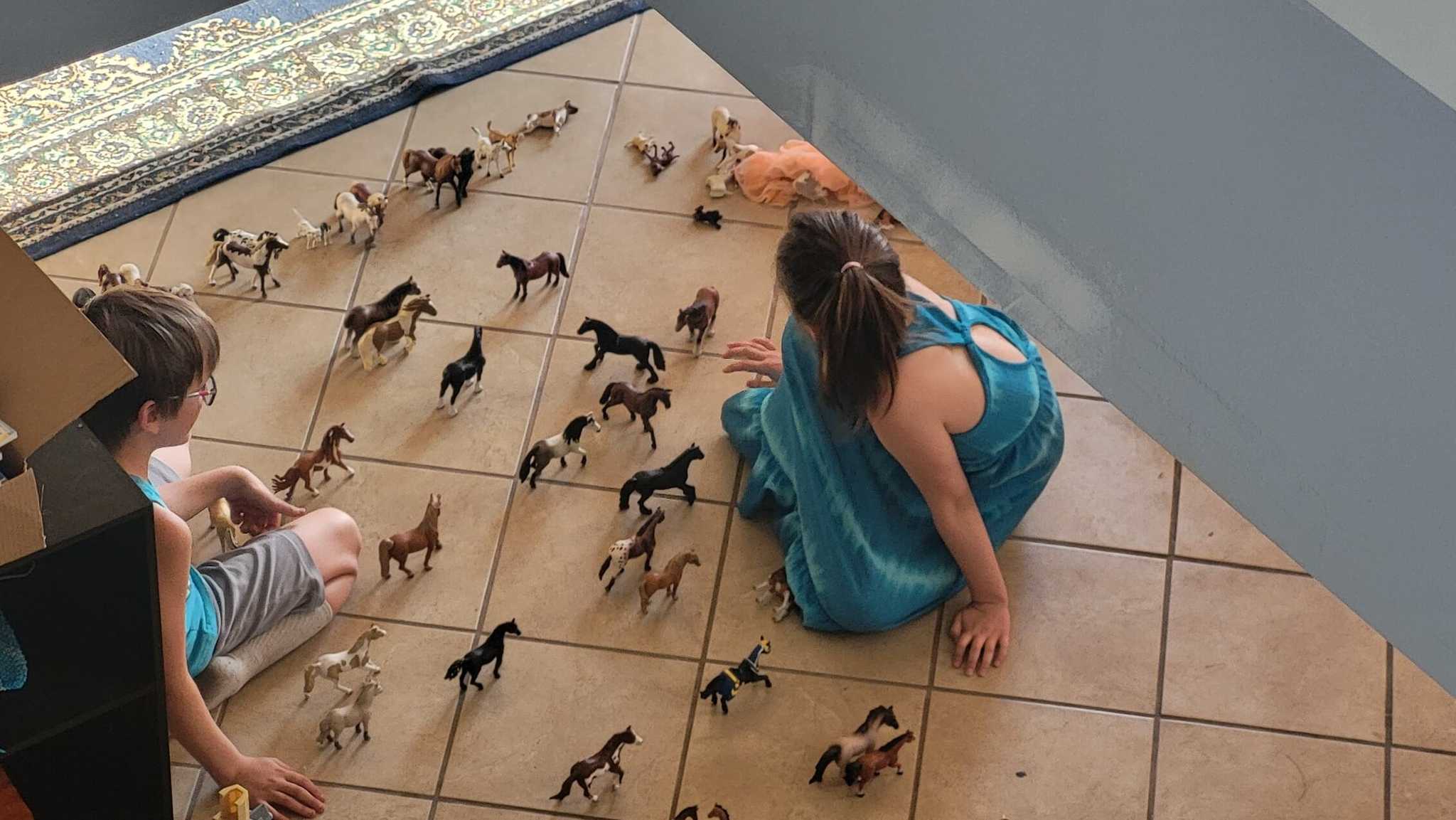 a picture of toy horses